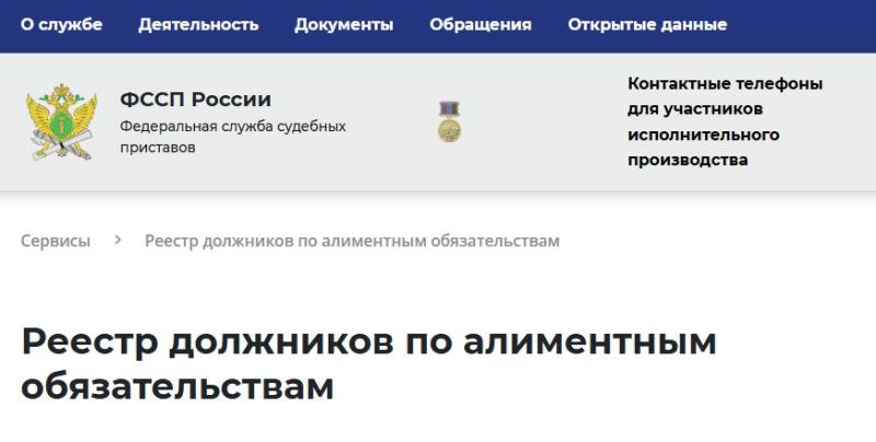 Федеральный реестр должников по алиментам.