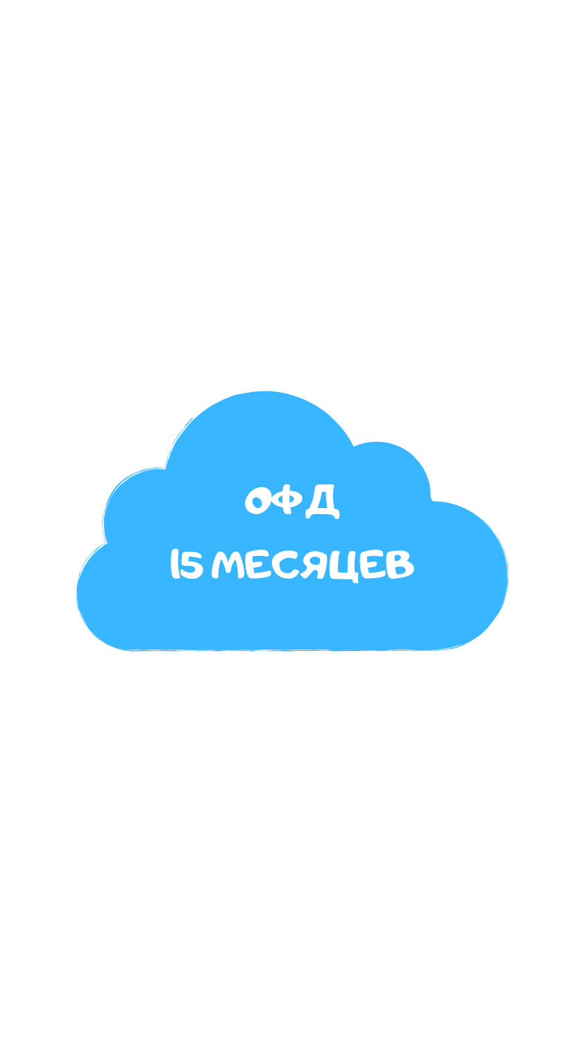 ОФД 15 месяцев